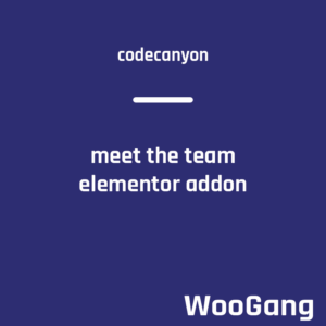 Meet the Team Elementor Addon